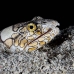 eel_snake_napoleon_c_gb_h_0088_kom0207.jpg